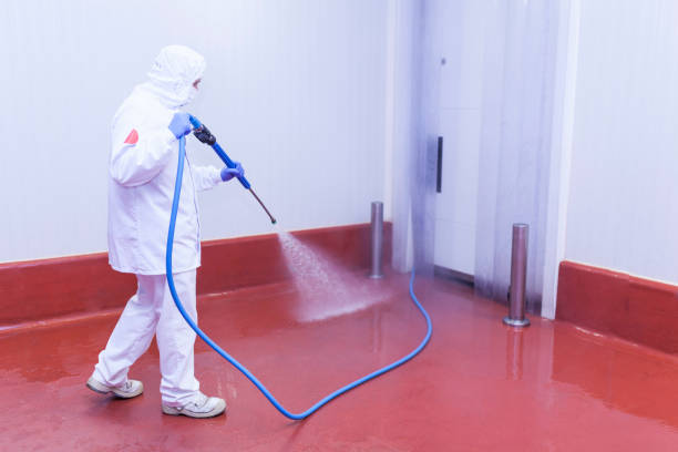 Best Sidewalk and Walkway Cleaning  in Waynesboro, GA