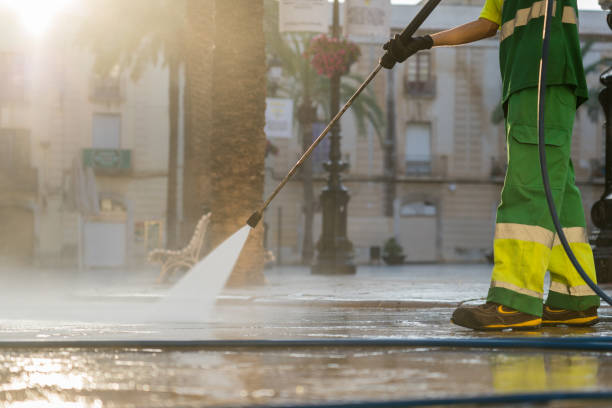 Best Roof Washing  in Waynesboro, GA